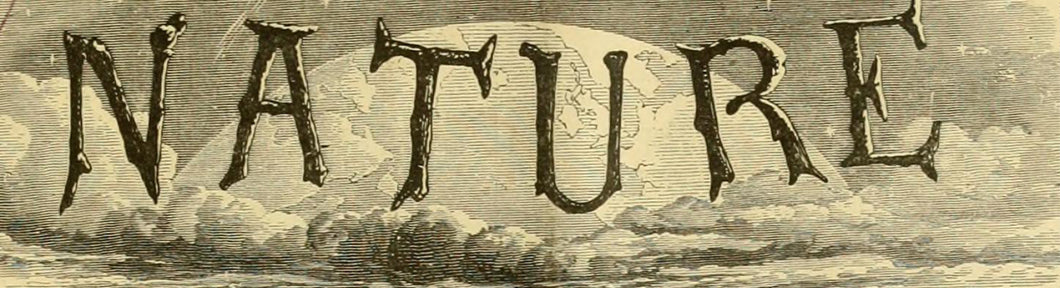 Nature Bumper Sticker