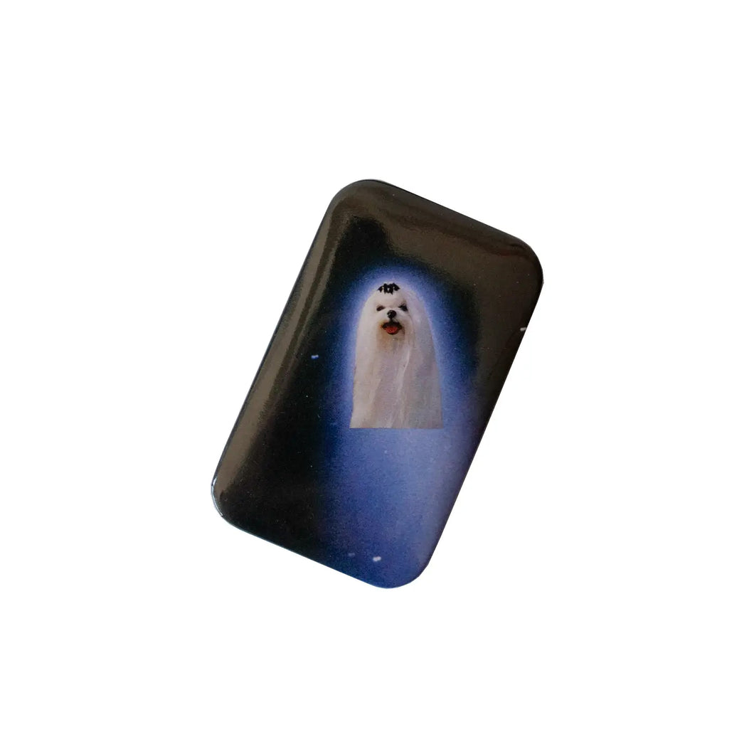 Comet Pinback Button