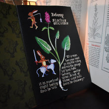 Pocket Herball zine