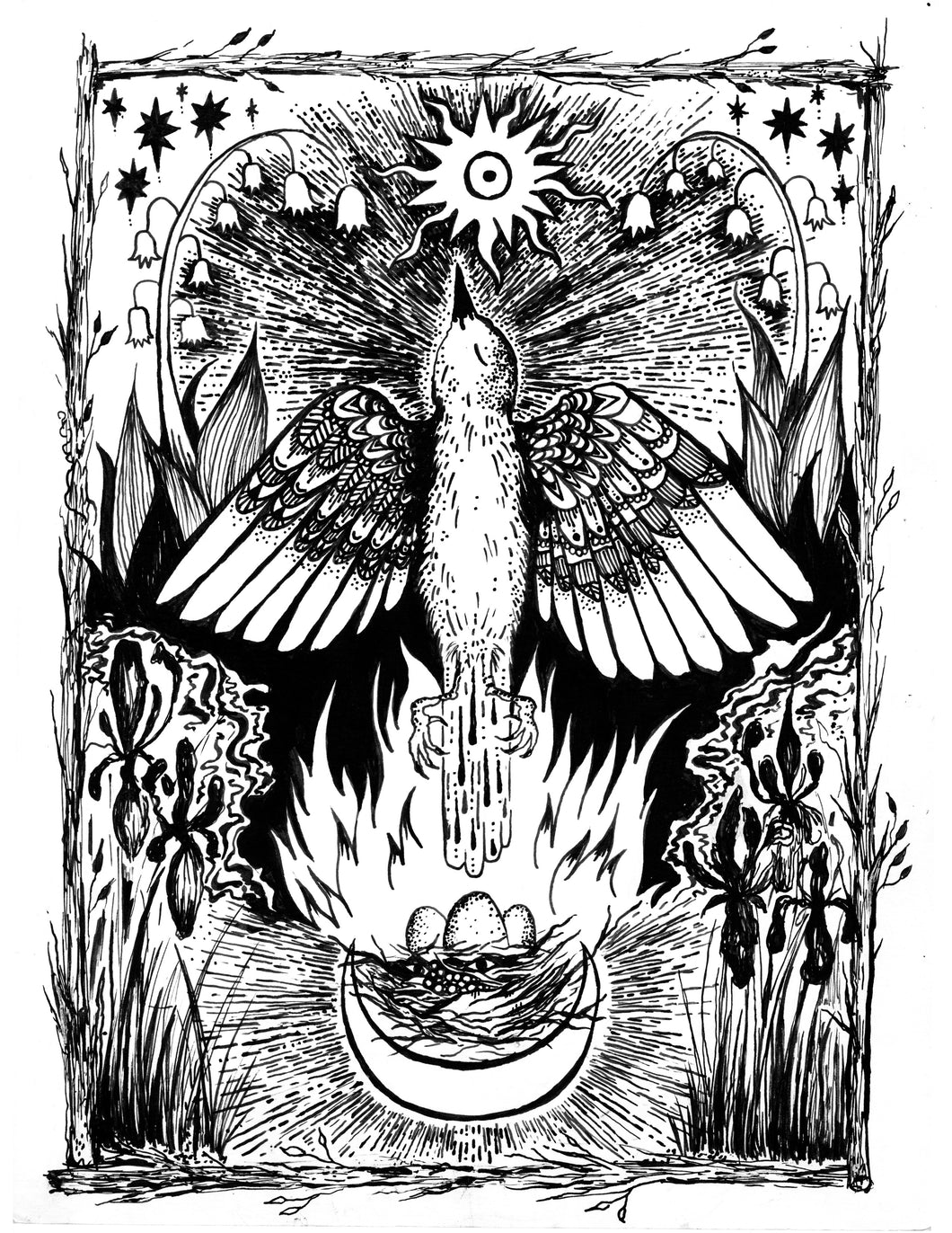 The Robin is A Phoenix in The Springtime postcard