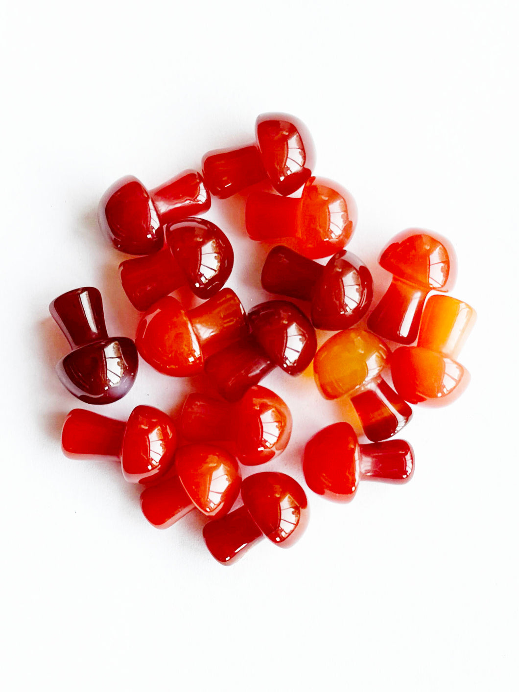 Carnelian mushroom