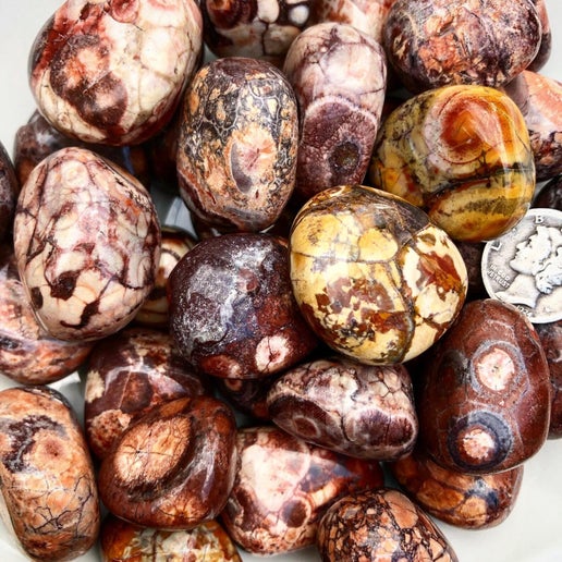 Bird's Eye Rhyolite tumbled