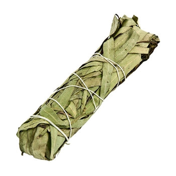 Eucalyptus Bundle