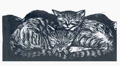 Sand Cats print