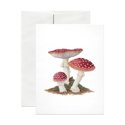 Amanita Muscaria Mushroom Card