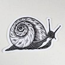 Snail Sticker