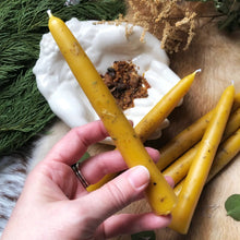 Herb-Dressed Beeswax Taper Candles