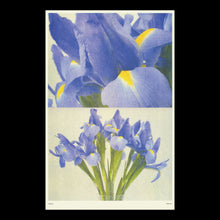 "Iris" Risograph Print