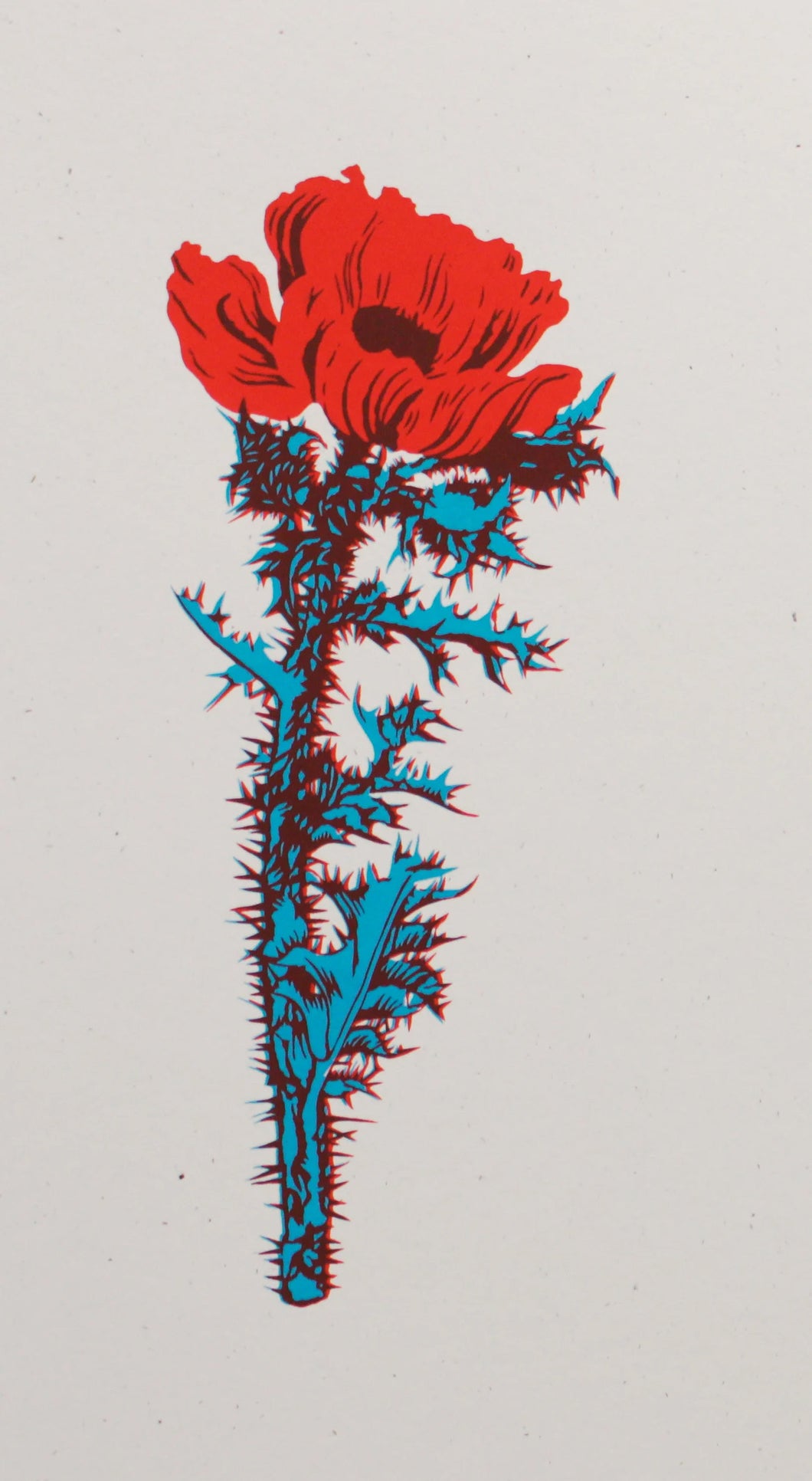 Thistle Poppy print