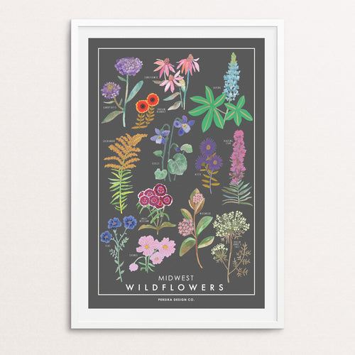 Midwest Wildflowers Art Print 11x17