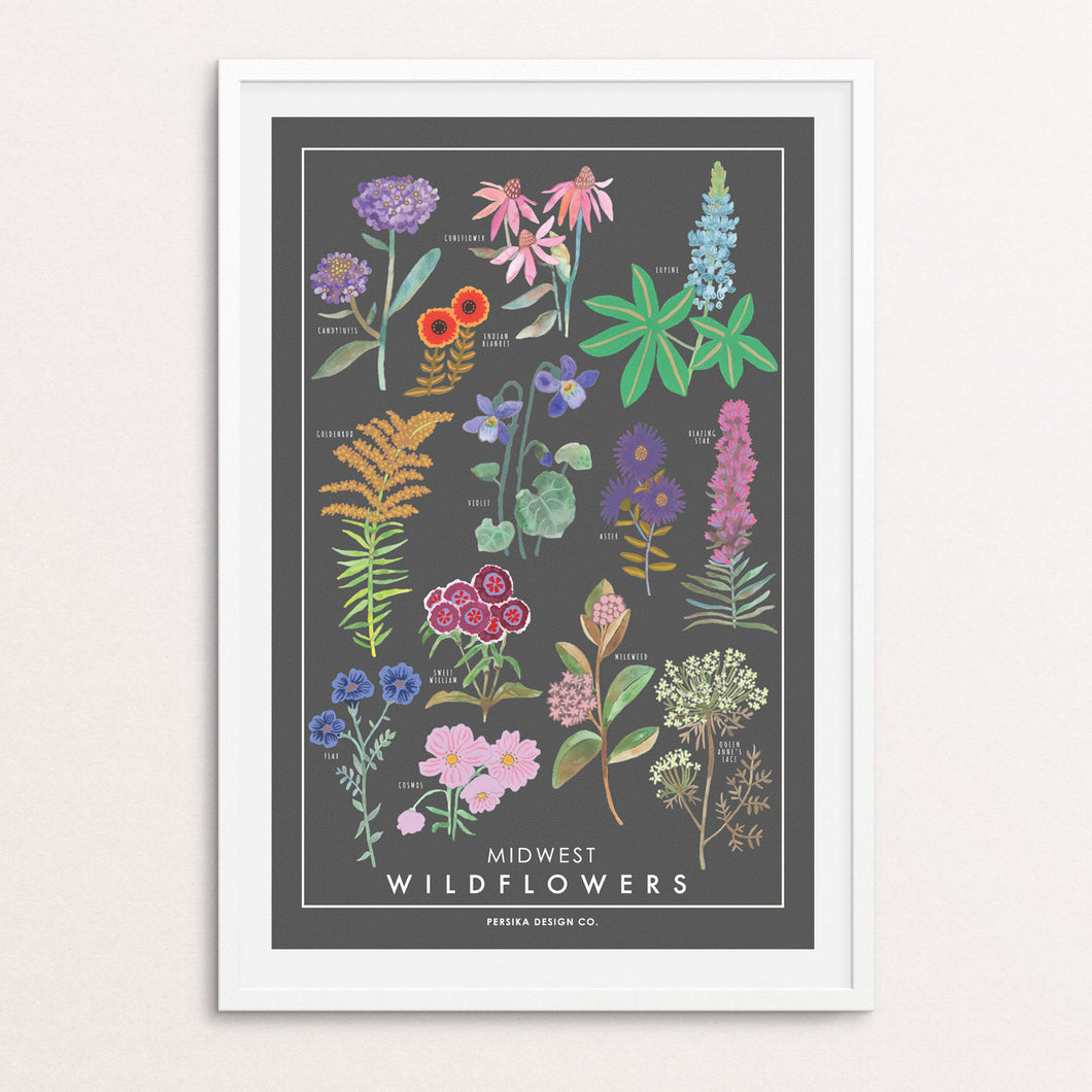 Midwest Wildflowers Art Print 11x17