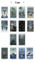 Anima Mundi Tarot - 78 Card Deck with Guidebook