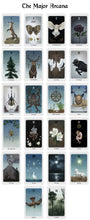 Anima Mundi Tarot - 78 Card Deck with Guidebook