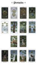 Anima Mundi Tarot - 78 Card Deck with Guidebook