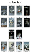 Anima Mundi Tarot - 78 Card Deck with Guidebook