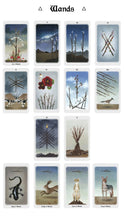Anima Mundi Tarot - 78 Card Deck with Guidebook