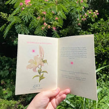 Historically Queer Flowers Zine