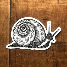 Snail Sticker