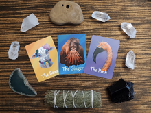 Animal Spirits of the Apocalypse Oracle Deck