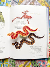 Timber Rattlesnake sticker