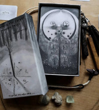 A wee star in the forest of precious twigs oracle