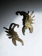 Amulets + Talismans Scorpio Earrings