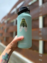Cicada sticker