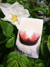 Remembering the Sweet Fool Tarot