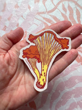 Chanterelle Mushroom sticker