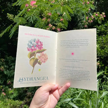 Historically Queer Flowers Zine