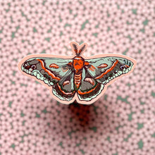 Cecropia Moth sticker