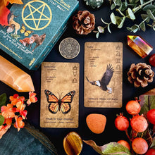 Witches Grimoire Oracle Deck - Vol 3: Fauna & Familiar Magic