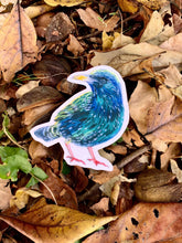 Starling sticker