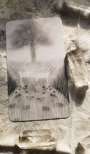 A wee star in the forest of precious twigs oracle