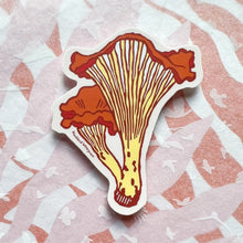 Chanterelle Mushroom sticker