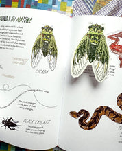 Cicada sticker