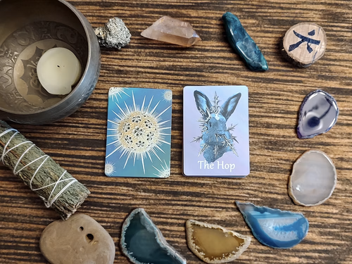Animal Spirits of the Apocalypse Oracle Deck