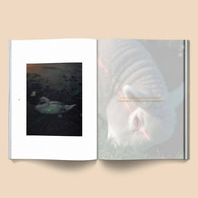 Female Pentimento: Inner Nature