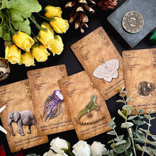 Witches Grimoire Oracle Deck - Vol 3: Fauna & Familiar Magic