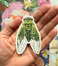 Cicada sticker