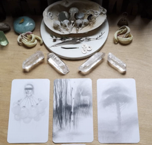 A wee star in the forest of precious twigs oracle