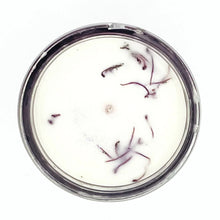 Jupiter / Wheel of Fortune Ritual Candle - Large