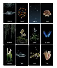 Nocturna Oracle deck with guidebook