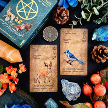 Witches Grimoire Oracle Deck - Vol 3: Fauna & Familiar Magic