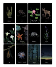 Nocturna Oracle deck with guidebook