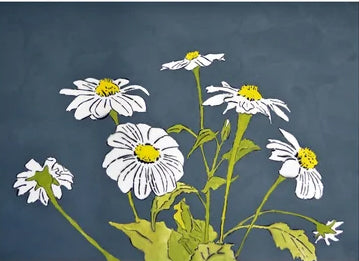 Daisies card