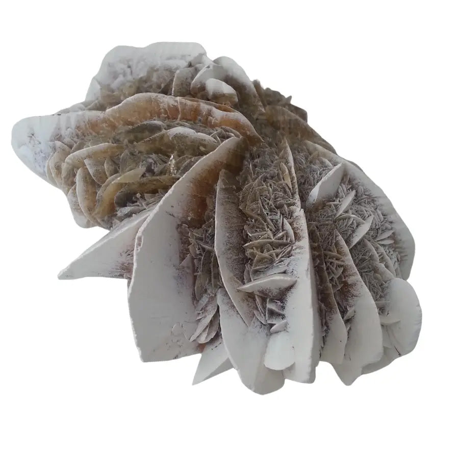 Desert Rose card
