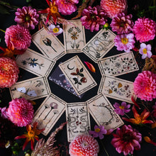 Ophidia Rosa Tarot