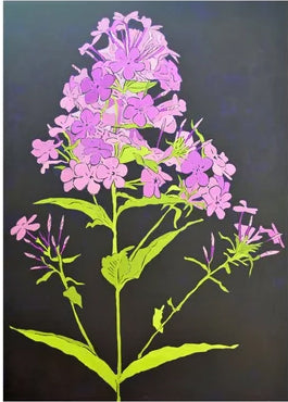 Phlox card
