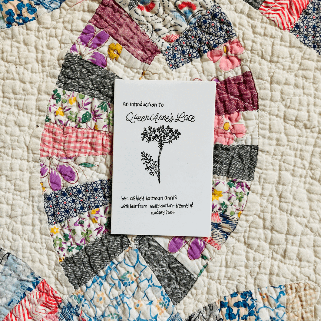 Intro to Queen Anne's Lace zine